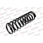 STANDARD YAY Arka Helezon Yayı – ST 104018R