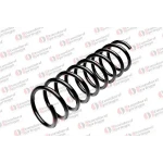 STANDARD YAY Arka Helezon Yayı – ST 104023R
