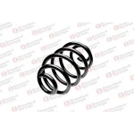 STANDARD YAY Arka Helezon Yayı – ST 104046R