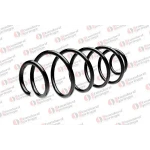 STANDARD YAY Arka Helezon Yayı – ST 106003R