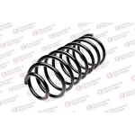 STANDARD YAY Arka Helezon Yayı – ST 107011R