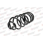 STANDARD YAY Arka Helezon Yayı – ST 109005R