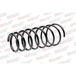 STANDARD YAY Arka Helezon Yayı – ST 112012R