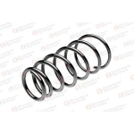 STANDARD YAY Arka Helezon Yayı – ST 112024R