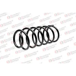 STANDARD YAY Arka Helezon Yayı – ST 112035R