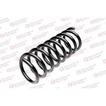 STANDARD YAY Arka Helezon Yayı – ST 120058R