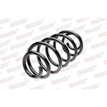 STANDARD YAY Arka Helezon Yayı – ST 120063R