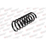 STANDARD YAY Arka Helezon Yayı – ST 120078R