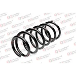 STANDARD YAY Arka Helezon Yayı – ST 123025R