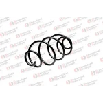 STANDARD YAY Arka Helezon Yayı – ST 124010R