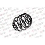 STANDARD YAY Arka Helezon Yayı – ST 124044R
