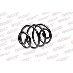 STANDARD YAY Arka Helezon Yayı – ST 124045R