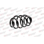 STANDARD YAY Arka Helezon Yayı – ST 124070R