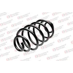 STANDARD YAY Arka Helezon Yayı – ST 124078R