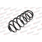 STANDARD YAY Arka Helezon Yayı – ST 125015R