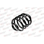 STANDARD YAY Arka Helezon Yayı – ST 127019R