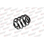 STANDARD YAY Arka Helezon Yayı – ST 134038R