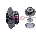 FAG Arka Poyra – 713640510 / OEM 374886