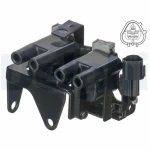 Delphi Bobin – GN10531-12B1 / OEM 2730102800