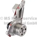 Pierburg Devirdaim – 7.06395.06.0 / OEM 210109334R