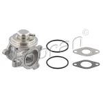Topran EGR Valfi – 113163001 / OEM 045131501K