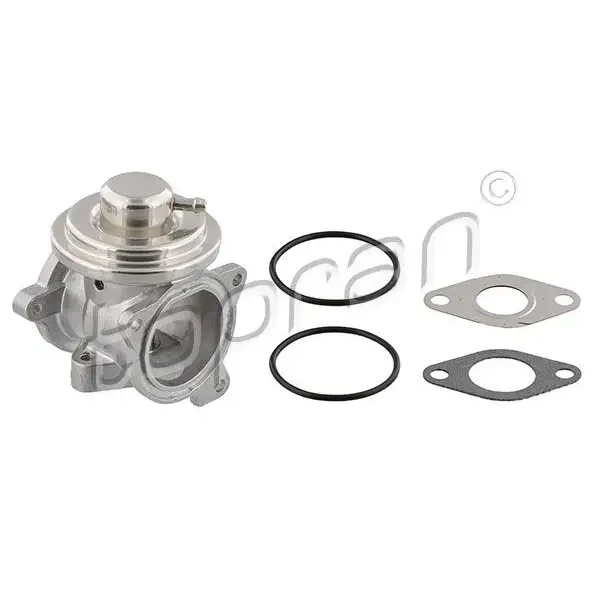 Topran EGR Valfi – 113163001 / OEM 045131501K