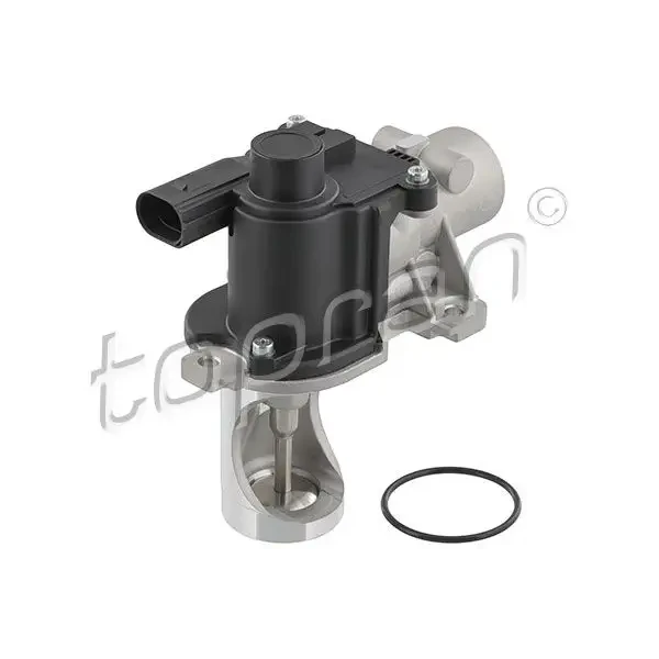 Topran EGR Valfi – 115855001 / OEM 038131501BF