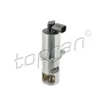 Topran EGR Valfi – 207439001