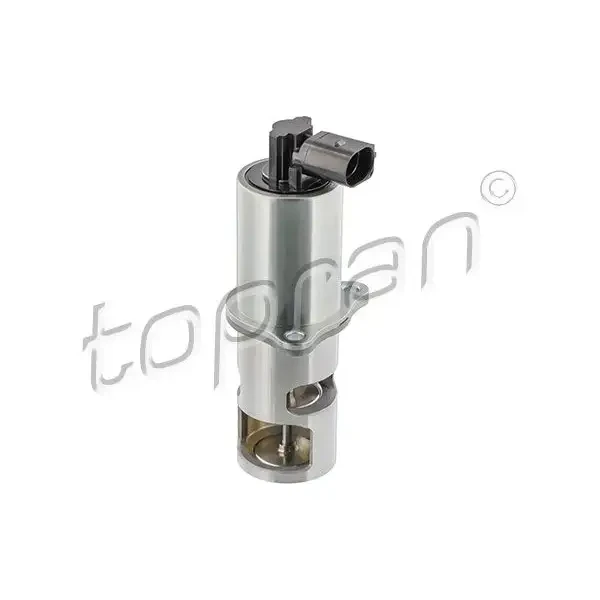 Topran EGR Valfi – 207439001