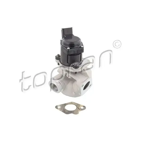 Topran EGR Valfi – 302690001