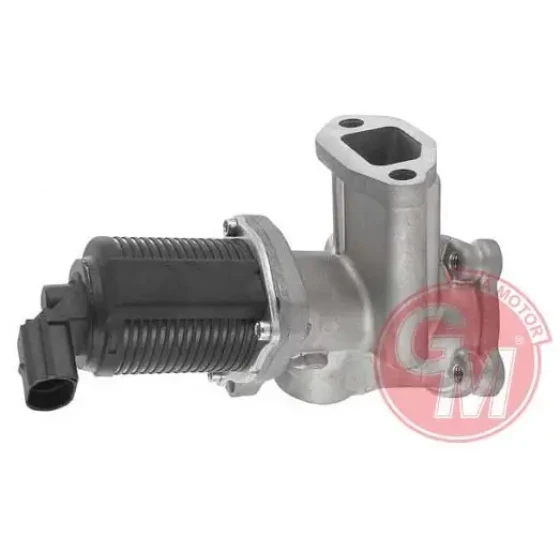 GUA EGR Valfi – 41140 / OEM 55206931 ürün görseli