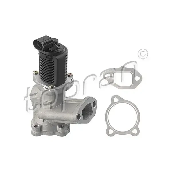 Topran EGR Valfi – 639154001