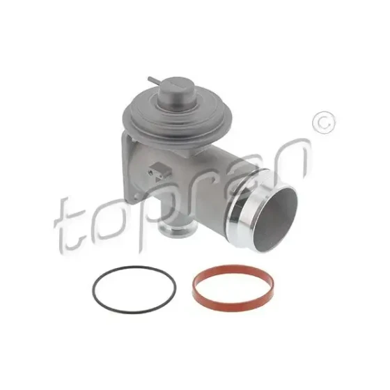 Topran EGR Valfi – 639197001 / OEM 11717804381 ürün görseli