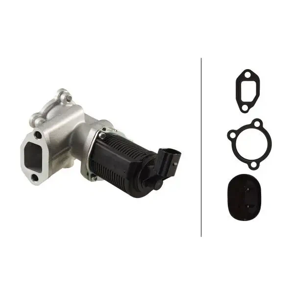 Hella EGR Valfi – 6NU010171-451
