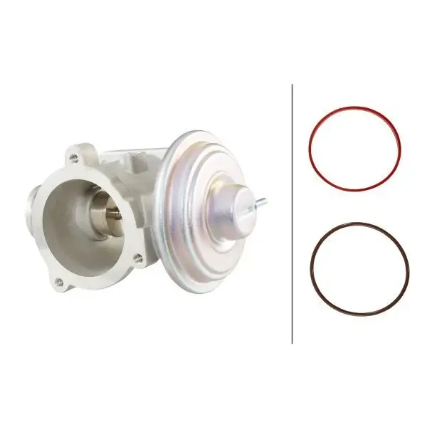 Hella EGR Valfi – 6NU010171-701 / OEM 11717804382