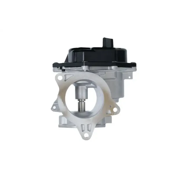 Valeo EGR Valfi – 700448