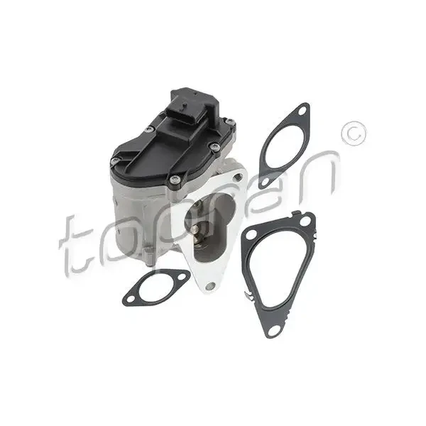 Topran EGR Valfi – 701497001