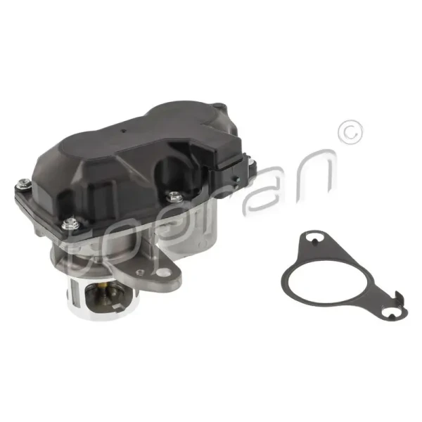 Topran EGR Valfi – 702444001