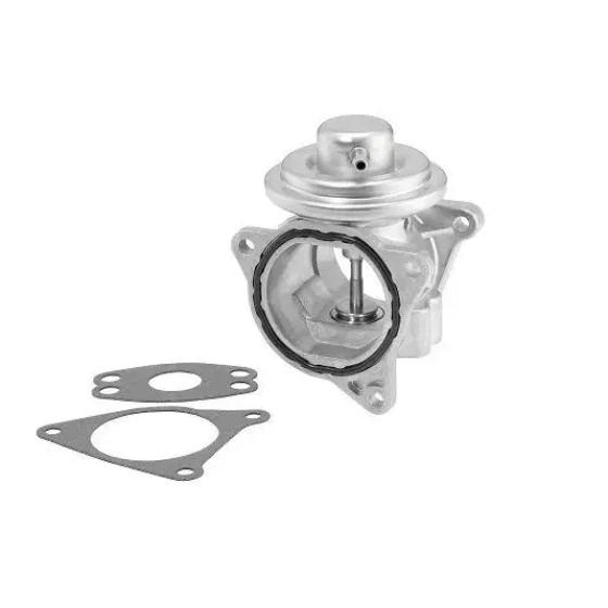 WAHLER EGR Valfi – 7496D / OEM 038131501AN ürün görseli