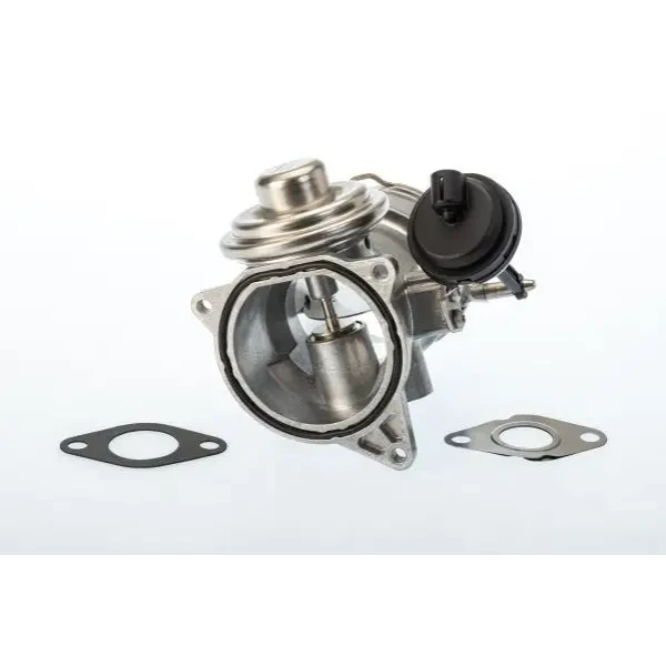 WAHLER EGR Valfi – 7650D / OEM 070128070F