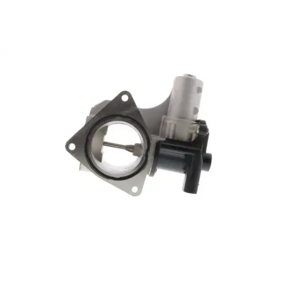 Aisin EGR Valfi – EGRAZ-7077 / OEM 076131501B ürün görseli