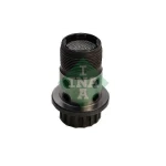 INA Eksantrik Kumanda Valfi – 427007310 / OEM 11368696446