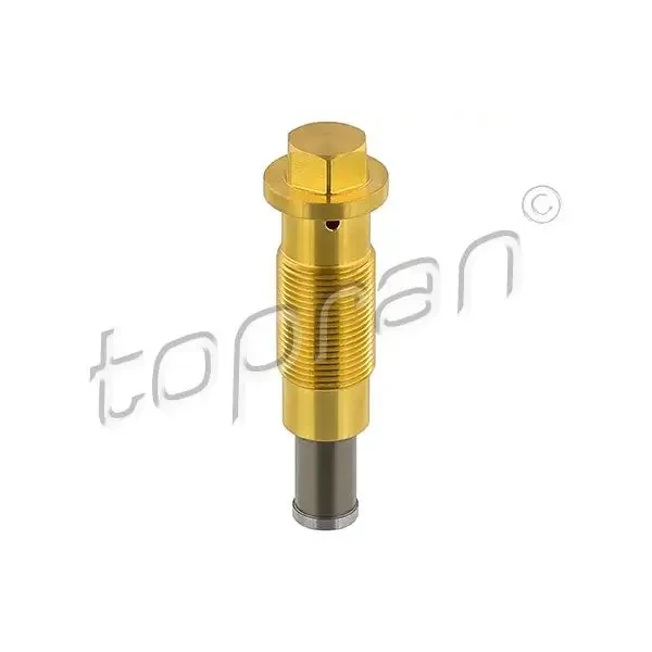 Topran Eksantrik Zincir Gergisi – 408963001 / OEM A2710500411