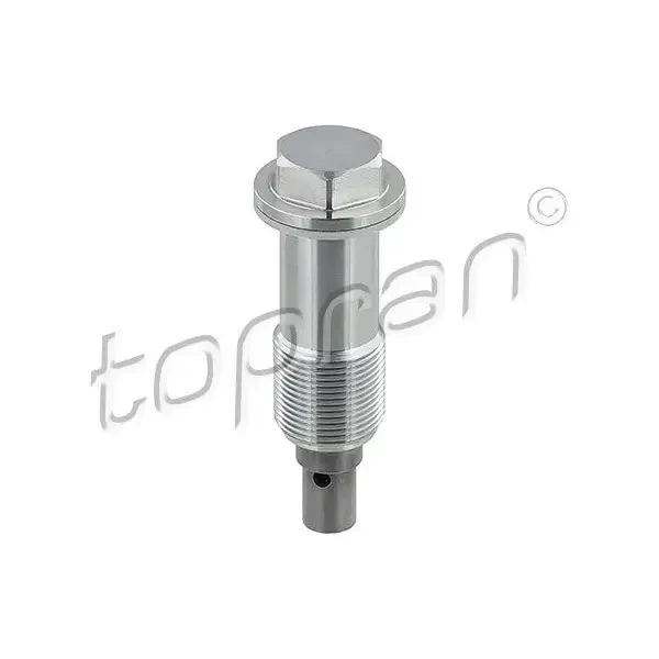 Topran Eksantrik Zincir Gergisi – 408978001