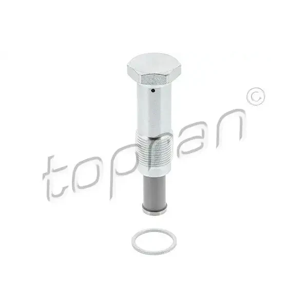 Topran Eksantrik Zincir Gergisi – 502626001 / OEM 11317567680