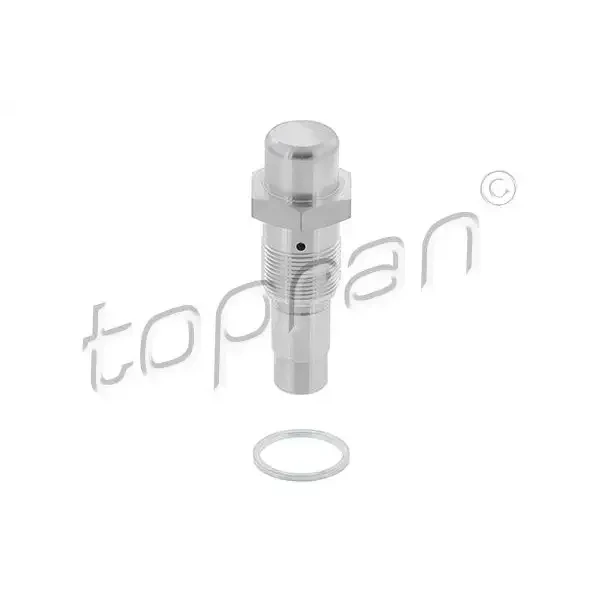 Topran Eksantrik Zincir Gergisi – 503116001 / OEM 11311703746