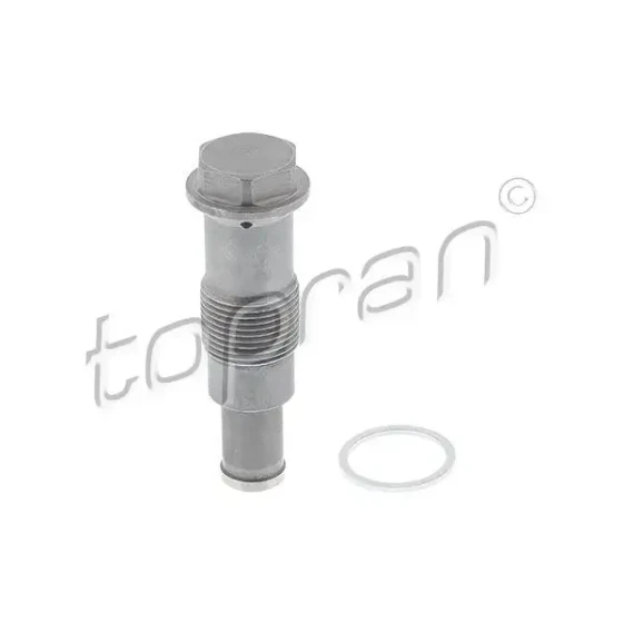 Topran Eksantrik Zincir Gergisi – 504085001 / OEM 11318622486 ürün görseli