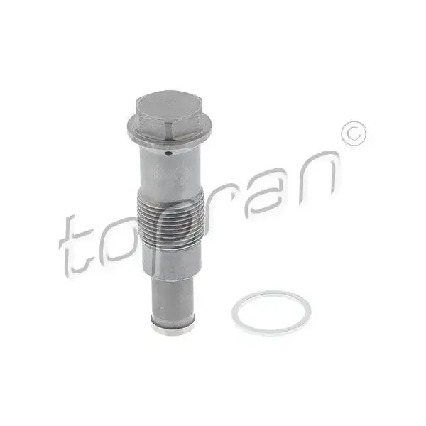 Topran Eksantrik Zincir Gergisi – 504085001 / OEM 11318622486