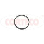 Corteco Emme Manifold Contası 0382QW – 49421043 / OEM 0382.QW