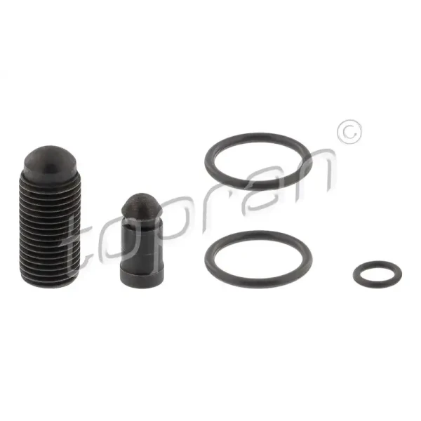 Topran Enjektör Tamir Takımı – 120662001 / OEM 03G198051D